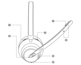 AUSDOM-B109-Voipfocus-Connect-Wireless-Headset-fig-2