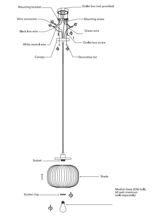 globe-91002373-Lily-1-Light-Matte-Brass-Shaded-Pendant-Light-4