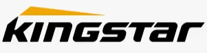 KINGSTAR Logo