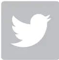 Twitter Icon