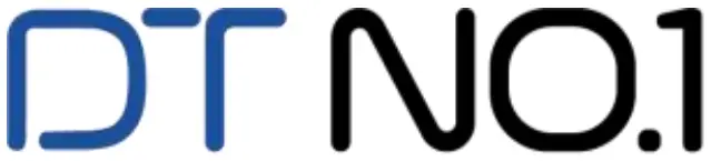 DT NO 1 LOGO