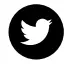 Twitter Icon