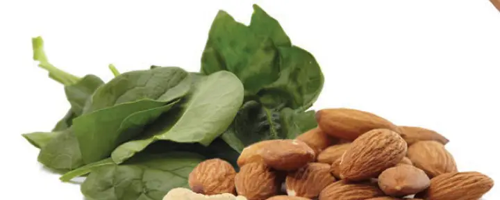 Magic Bullet Rx NUTRIBULLET-fig-12