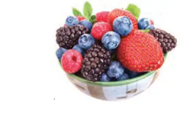 Magic Bullet Rx NUTRIBULLET-fig-14