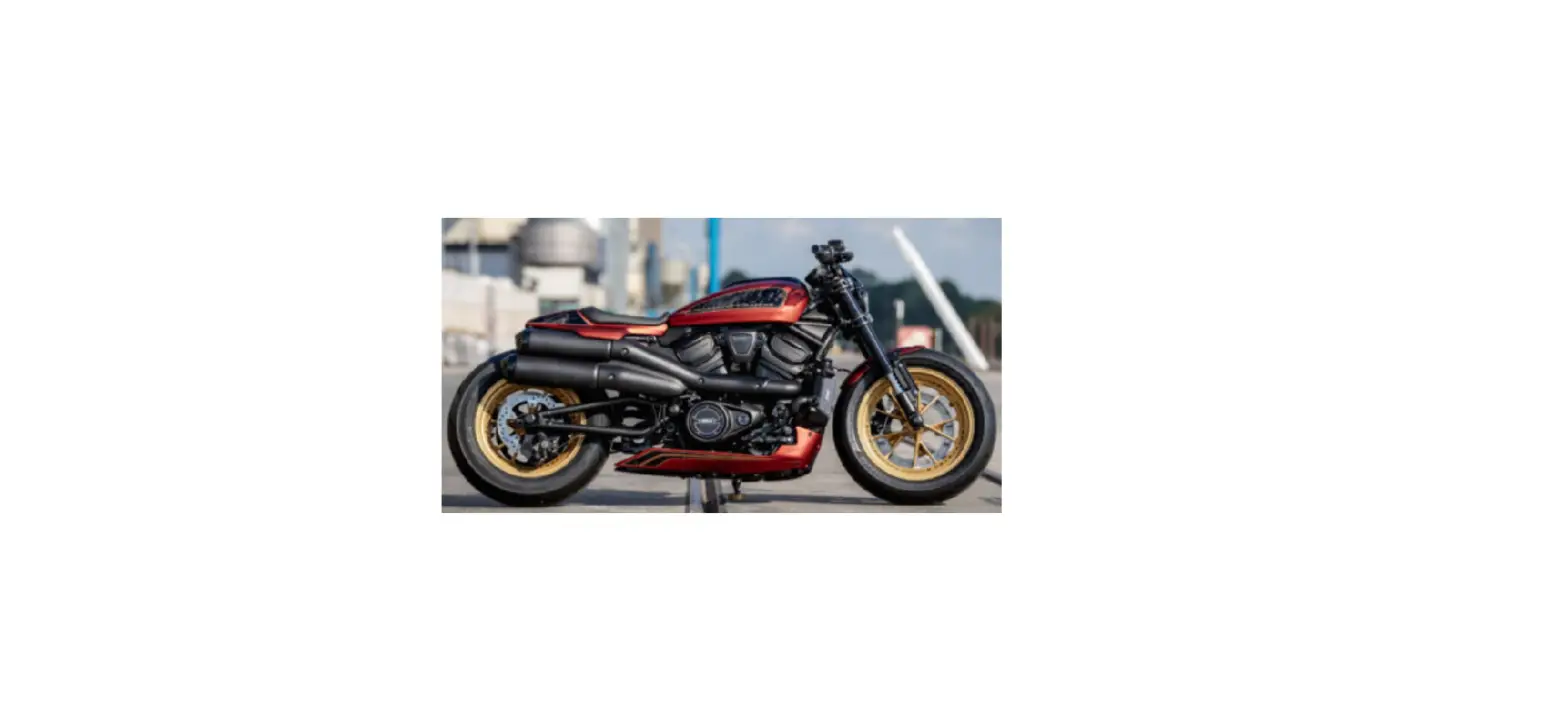 Thunderbike Customs 22-85-070 Harley-davidson Revolution Max User Manual