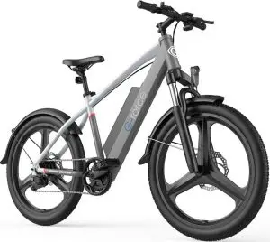 G-force S22 Electric Bike