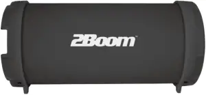 2Boom BX320 Portable Wireless Speaker