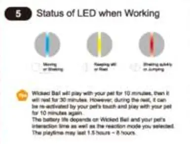 Cheerble C1801 Wicked Ball- 6