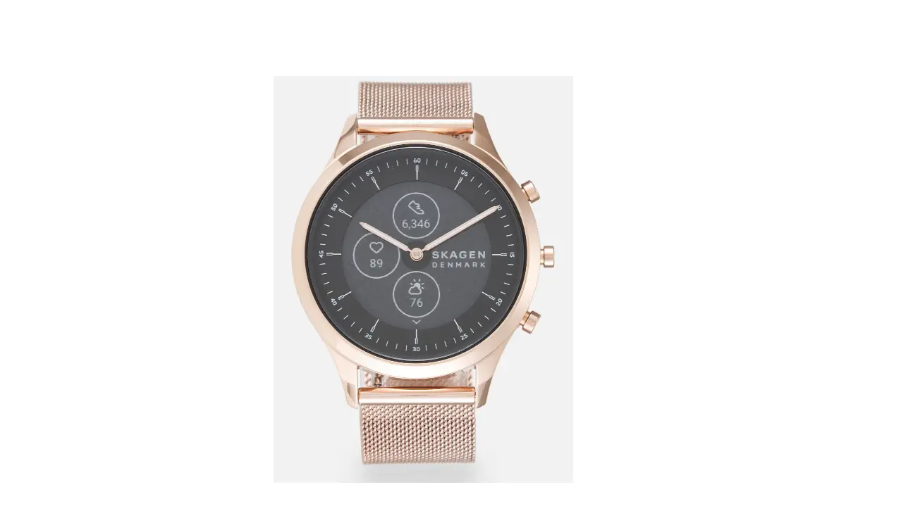 Skagen Dw13s1 Smart Watches User Manual