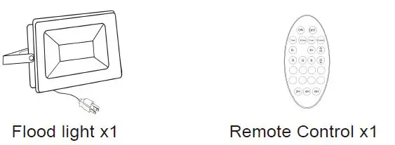 HOME-ACCENTS-Holiday-1006215593-Flood-Light-2