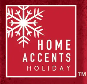 HOME-ACCENTS-Holiday-1006215593-Flood-Light-logo