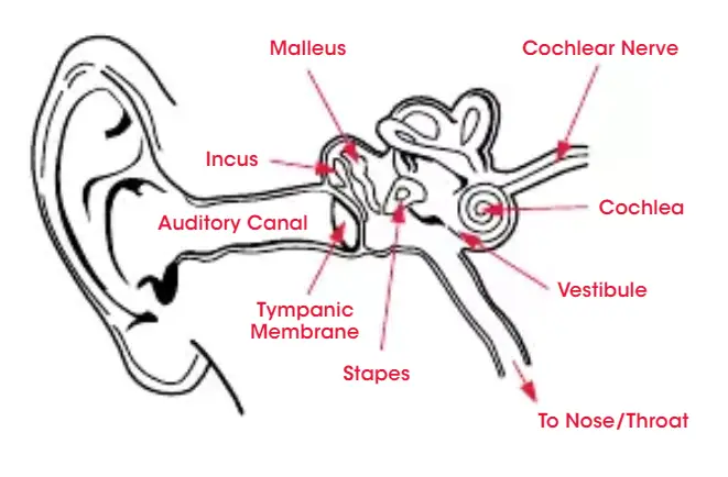 Beats-Solo-Pro-Wireless-Noise-Cancelling-On-Ear-Headphones-1