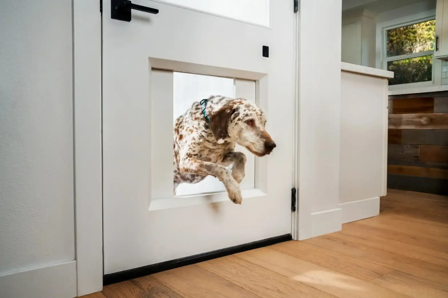Chamberlain Group My Q Pet Portal Door User Guide