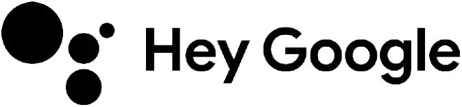 Hey Google