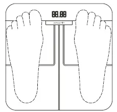 A2003 Amazfit Smart Scale FIG 4