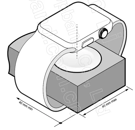 Apple C962 Watch Fast Charger Module - Fig