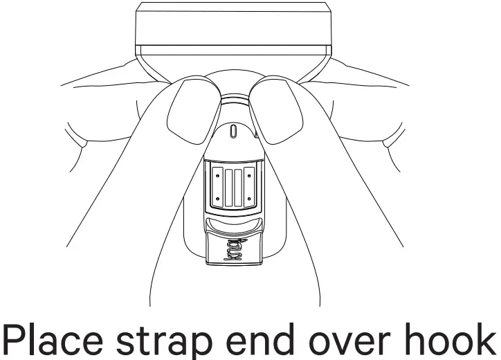 Interchangeable Strap