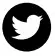 TWITTER ICON