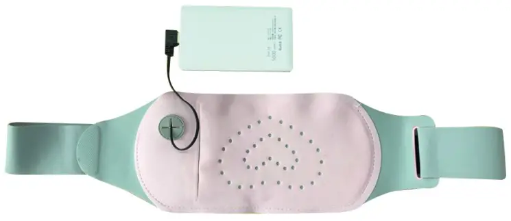 COMFIER CF 6905 Cordless Heating Pad - bank connection