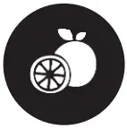 PowerXL Turbo Air Fryer CL-002 - FDehydrate