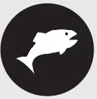 PowerXL Turbo Air Fryer CL-002 - Fish