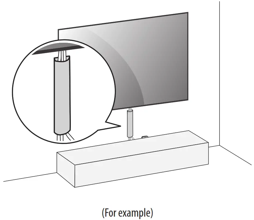 LG OLED55G2PSA 5 inch OLED TV - connecting additional cables