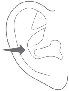 earfun TW301 - How to Fit 4