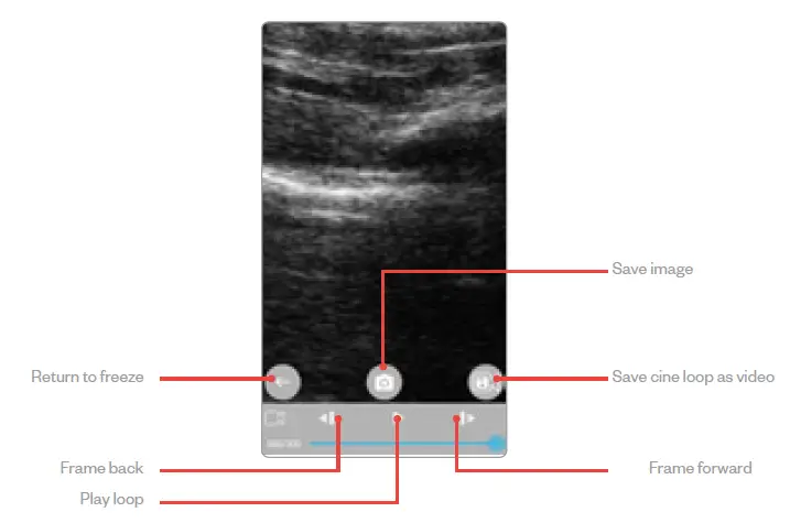 importvet Tecnoscan SC App img 6