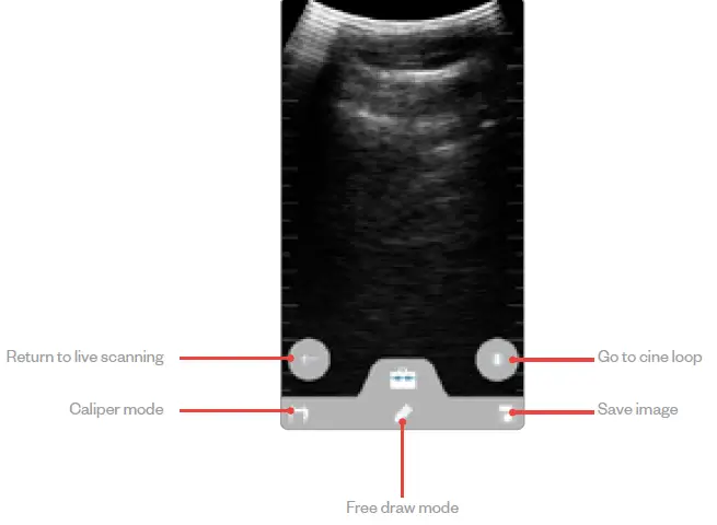 importvet Tecnoscan SC App img5