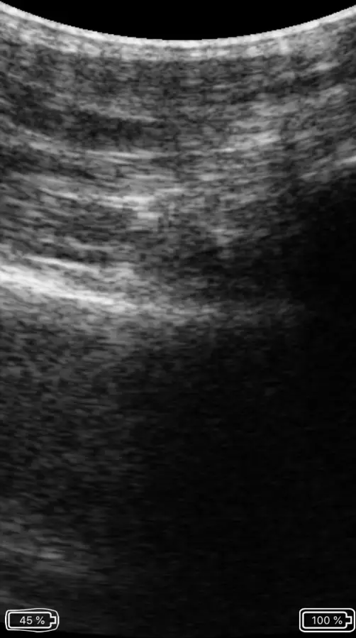 importvet Tecnoscan SC App product