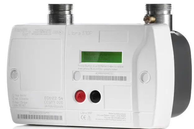 Landis-Gyr-M255-Gas-Meter-Endpoint-product