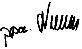 KOBOLD SMN Displacer Flow Switch - sein2