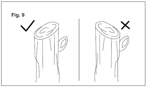 SUN-JOE-PJ3600C-Cordless-Rechargeable-Power-Pruner-10