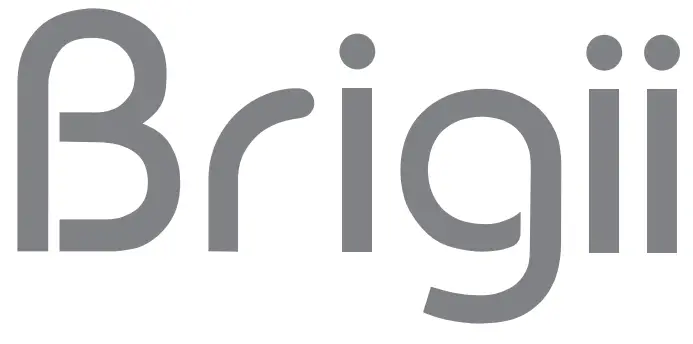 brigii LOGO