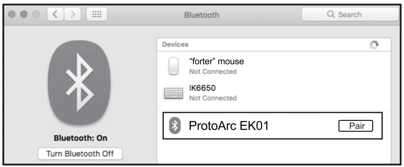 Bluetooth Connection