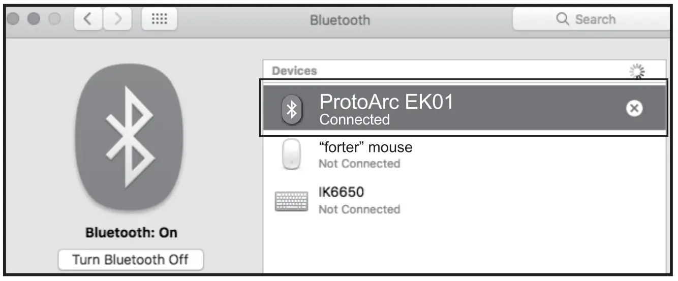 Bluetooth Connection