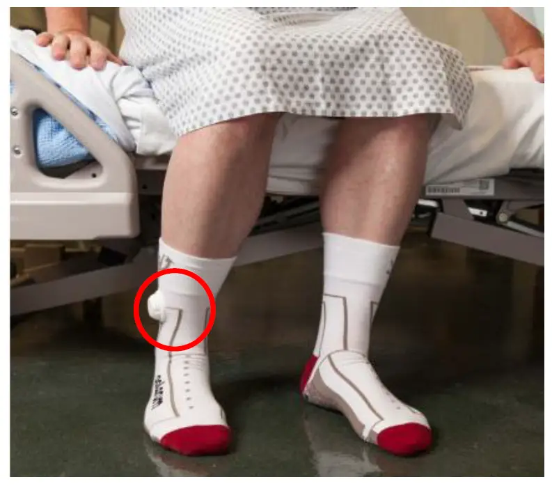 MikroStar Tech Palarum Beetle v3 Medical Device 1