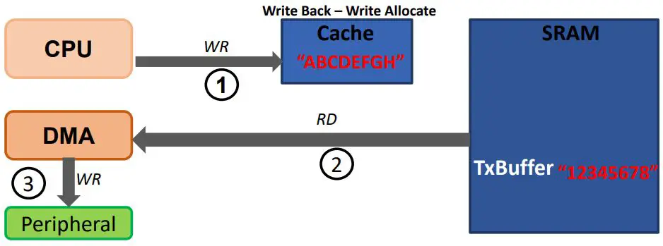 MICROCHIP-TB3308-Handling-Cache-Coherency-Issues-at-Runtime-Using-Cache-Maintenance-FIG 1
