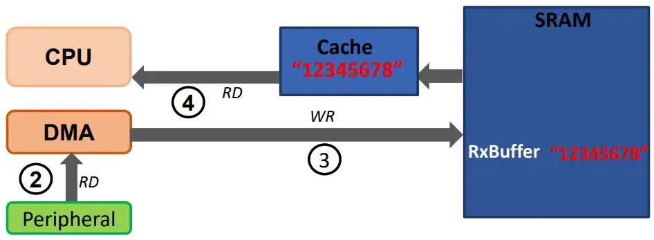MICROCHIP-TB3308-Handling-Cache-Coherency-Issues-at-Runtime-Using-Cache-Maintenance-FIG 7