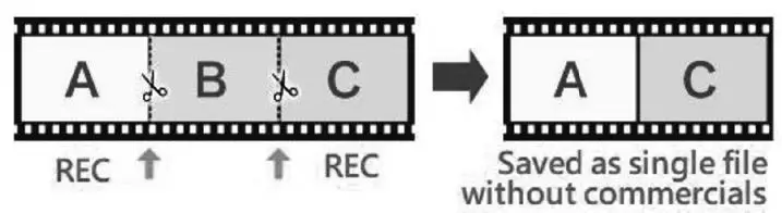 DNT000010 Video-Digitizer Grabstar AV fig15