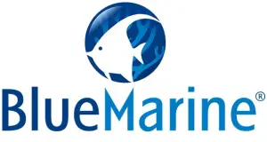 Blue Marine LOGO