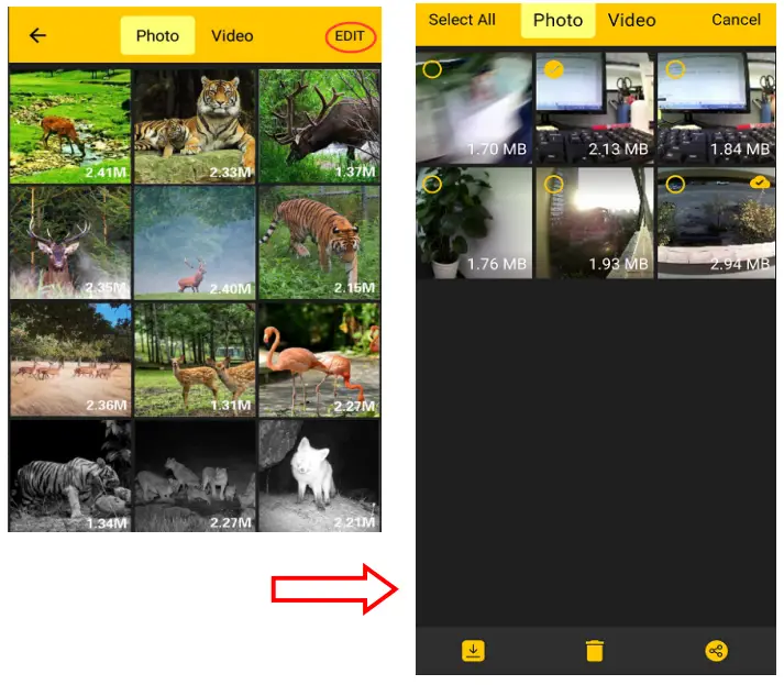 Gd Digital HXXXX Wildcamera-Setting button