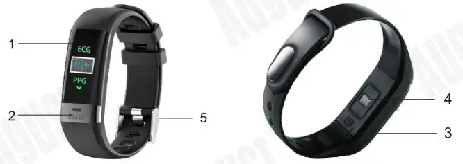 AUDAR Smart Healthcare Wristband - Part Names & Function