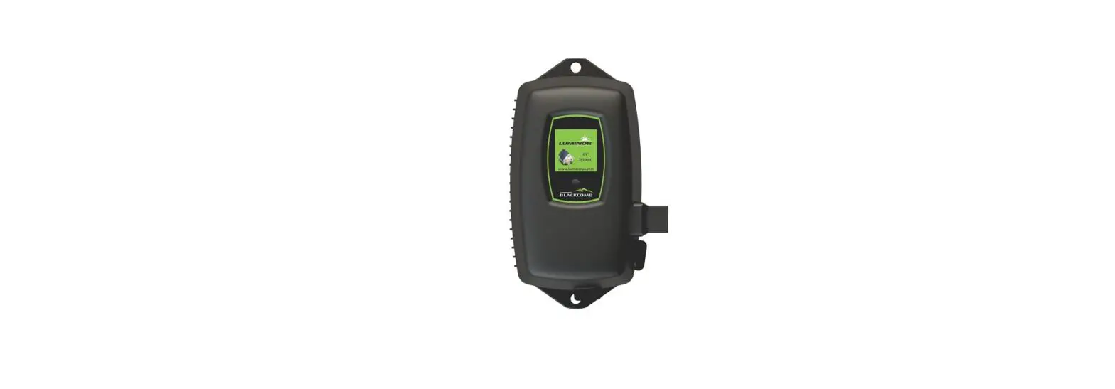 Luminor Environmental Lfm-0.5 Flowmeter Module Instruction Manual