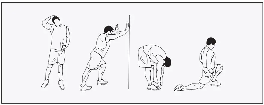 CORTEX BN-8 Preacher Pad User Manual - EXERCISE GUIDE