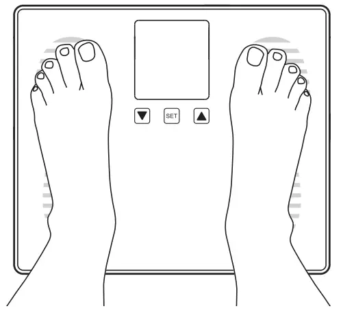 Measuring weight and Body Mass index (BMI)