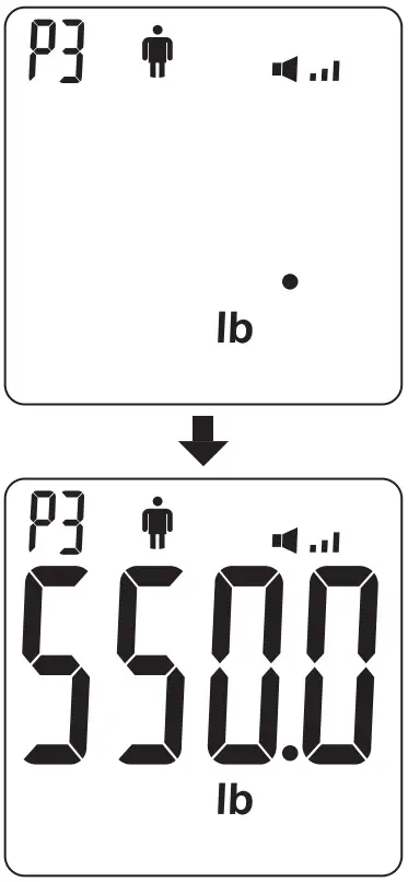Measuring weight and Body Mass index (BMI)