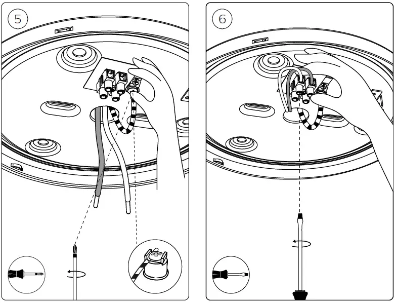PHILIPS-Infuse-M-White-and-Colored-Light-FIG-8