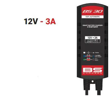 BS-BATTERY-Conventional-Dry-Battery-fig 2
