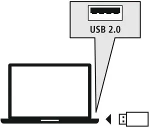 Connectivity induction